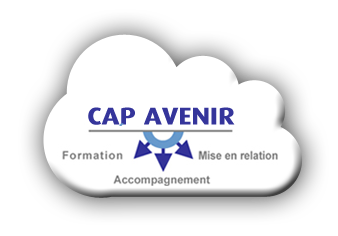 Logo Cap Avenir Réseau